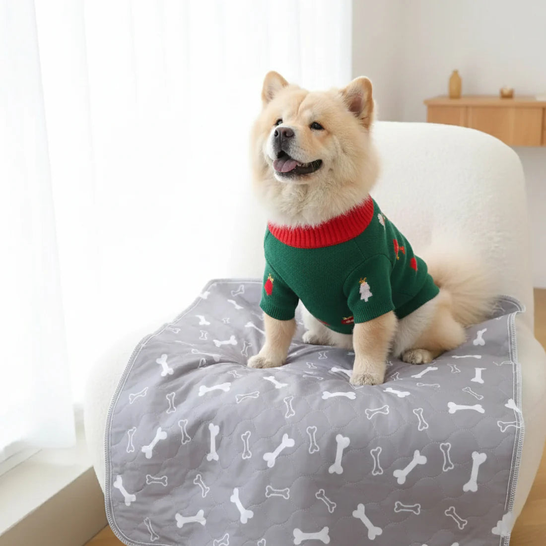 Tapis pour chiots de MySilkyPaw